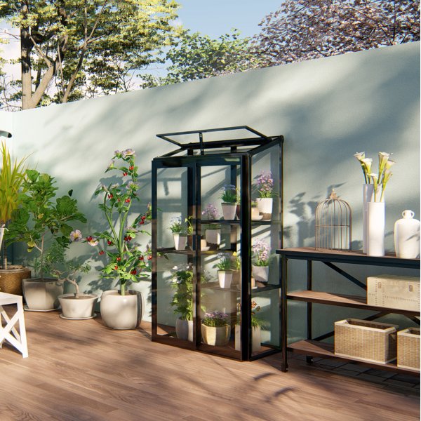 Høyt mini drivhus | 4mm sikkerhetsglass | Svart Høyt mini drivhus | 4mm sikkerhetsglass | Svart