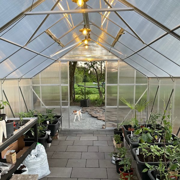 Drivhus 18m Premium | Ekstra hy dyrkingshyde | 6mm kanal plast