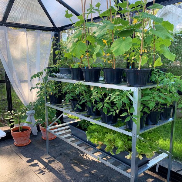 Drivhus 8,7 m² | 5 års stormgaranti | Firkantet premium drivhus | Lysthus Drivhus 8,7 m² | 5 års stormgaranti | Firkantet premium drivhus | Lysthus