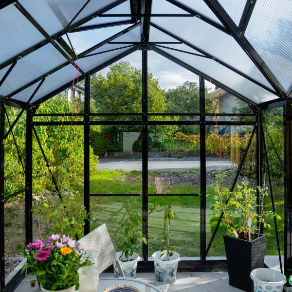 T-formet drivhus i glass 12,8m² | 4mm sikkerhetsglass | 5 års stormgaranti T-formet drivhus i glass 12,8m² | 4mm sikkerhetsglass | 5 års stormgaranti