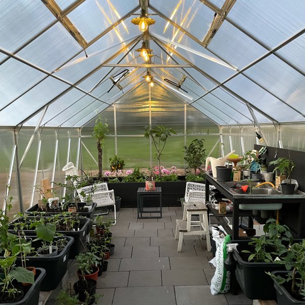 Drivhus 18m Premium | Ekstra hy dyrkingshyde | 6mm kanal plast