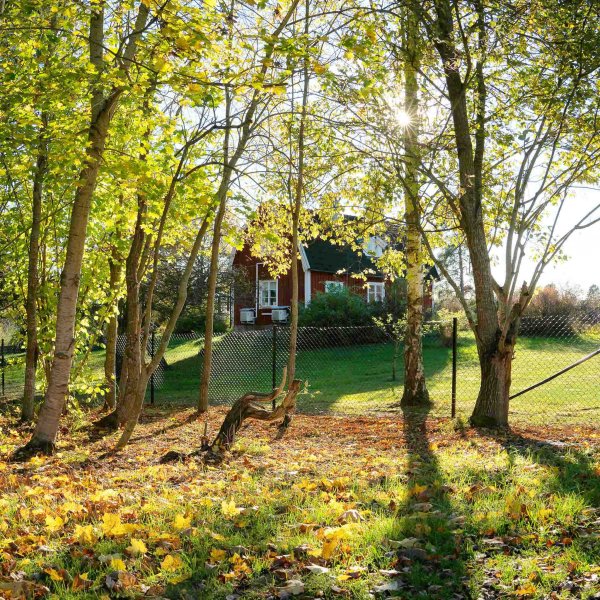 Villagjerde 150cm hyt | 25 meterspakke