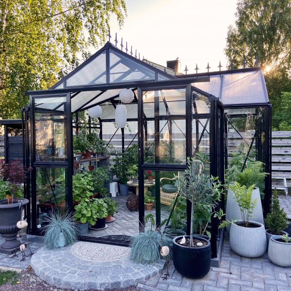 T-formet drivhus i glass 12,8m² | 4mm sikkerhetsglass | 5 års stormgaranti T-formet drivhus i glass 12,8m² | 4mm sikkerhetsglass | 5 års stormgaranti