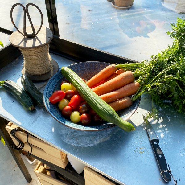 Drivhus i glass 19m� | 5 �rs stormgaranti | 4 mm sikkerhetsglass