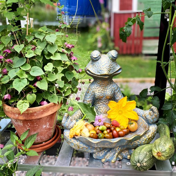 Drivhus 12,7m� | 5 �rs stormgaranti | 4 mm sikkerhetsglass